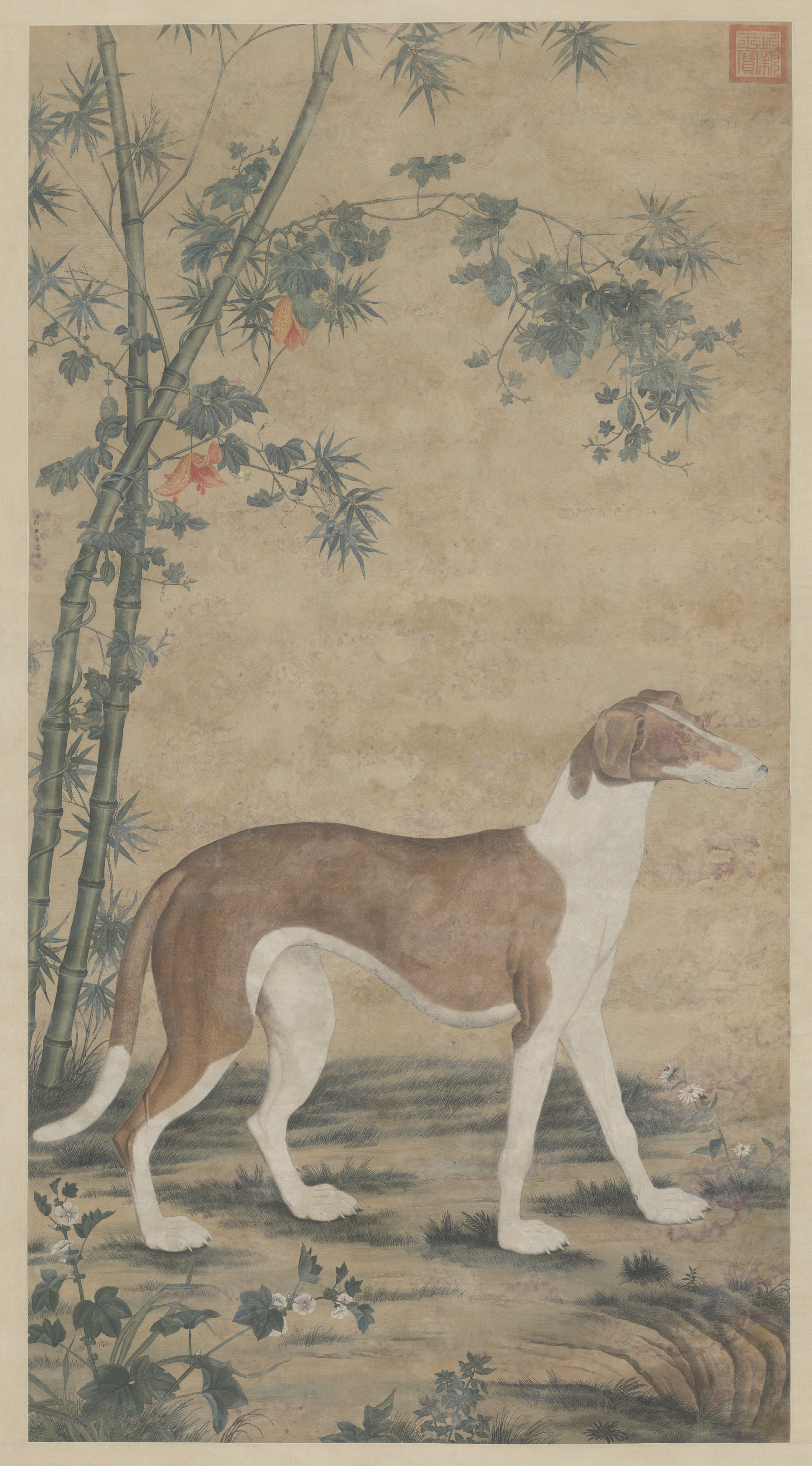 清代宫廷画师郎世宁专题展助力回望清代史话