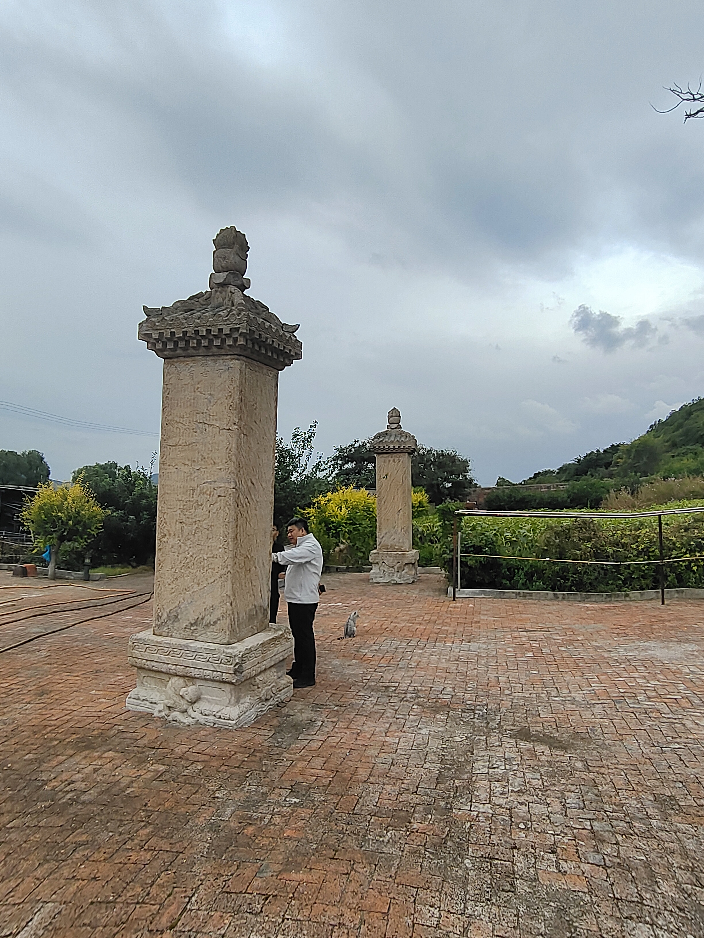 班吉塔所在山村启动生态恢复新模式