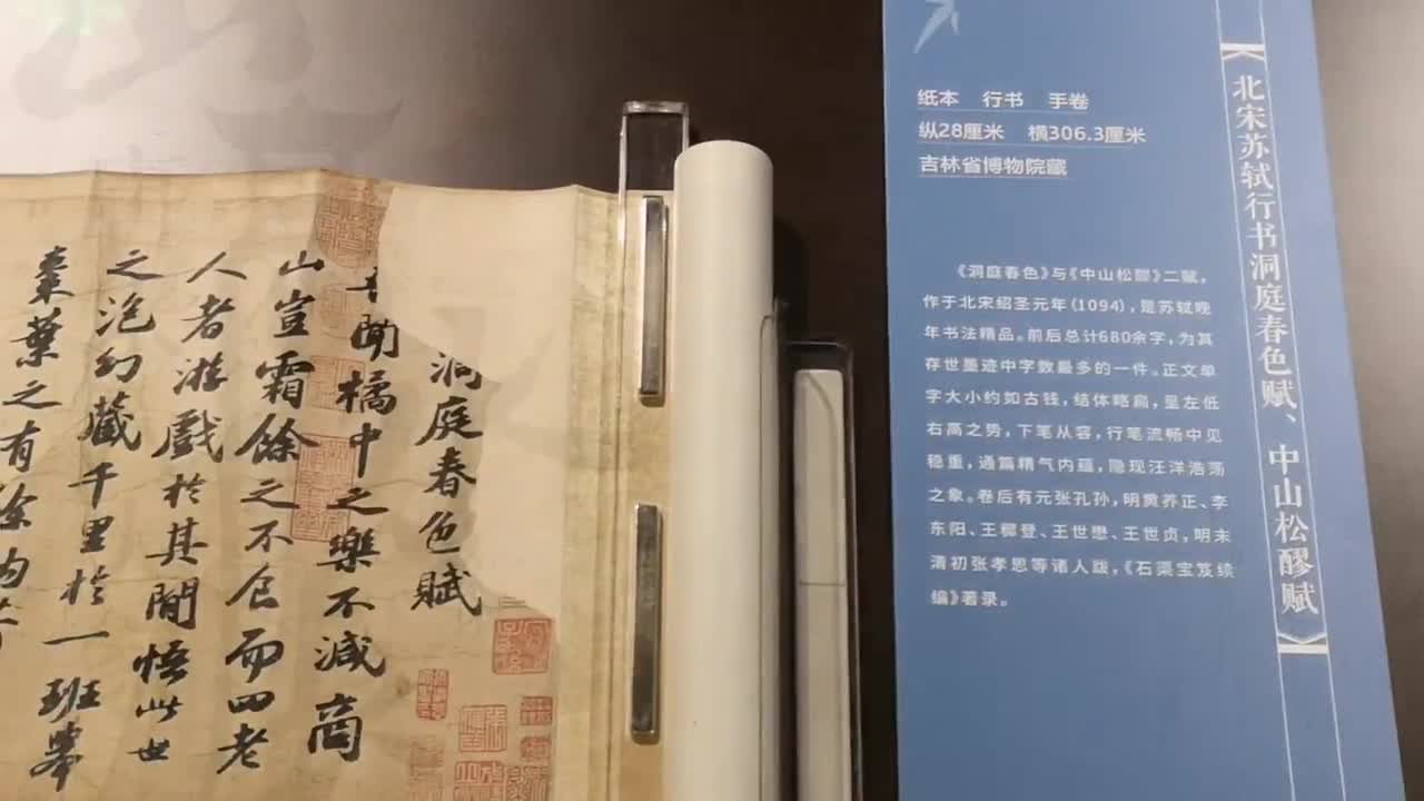窥苏轼书法观之大意——卢林谈《洞庭春色赋、中山松醪赋》